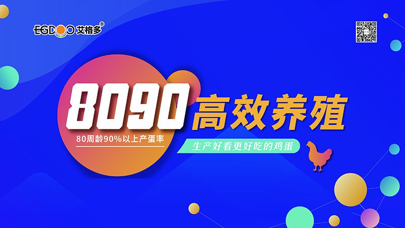 四會連開，艾格多8090高 效養(yǎng)殖700天唐山區(qū)域線下交流會成功舉辦